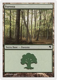 Forest (Italian) - "Foresta" (J10), Magic Encyclopedia 2005 (Salvat/Hachette)