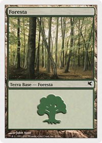 Forest (Italian) - "Foresta" (B21), Magic Encyclopedia 2005 (Salvat/Hachette)
