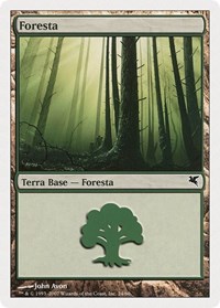 Forest (Italian) - "Foresta" (B24), Magic Encyclopedia 2005 (Salvat/Hachette)