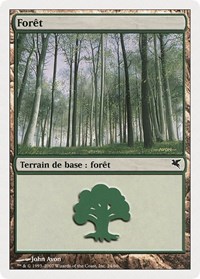 Forest (French) - "Foret" (D24), Magic Encyclopedia 2005 (Salvat/Hachette)
