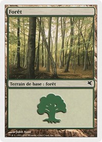 Forest (French) - "Foret" (B33), Magic Encyclopedia 2005 (Salvat/Hachette)