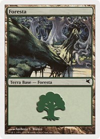 Forest (Italian) - "Foresta" (L24), Magic Encyclopedia 2005 (Salvat/Hachette)