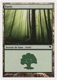 Forest (French) - "Foret" (I34), Magic Encyclopedia 2005 (Salvat/Hachette)