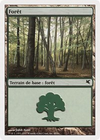 Forest (French) - "Foret" (I48), Magic Encyclopedia 2005 (Salvat/Hachette)