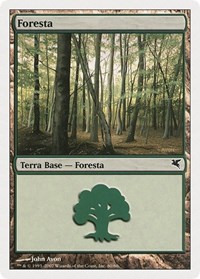 Forest (Italian) - "Foresta" (D60), Magic Encyclopedia 2005 (Salvat/Hachette)