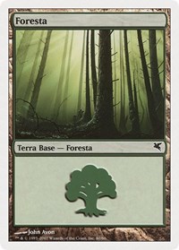 Forest (Italian) - "Foresta" (I60), Magic Encyclopedia 2005 (Salvat/Hachette)