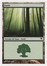 Forest (French) - "Foret" (I60), Magic Encyclopedia 2005 (Salvat/Hachette)