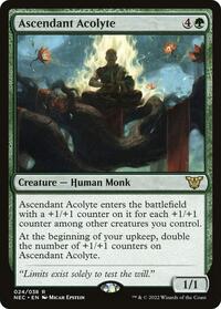 Ascendant Acolyte, Commander: Kamigawa: Neon Dynasty