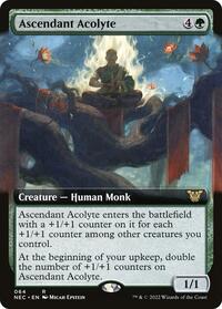 Ascendant Acolyte (Extended Art), Commander: Kamigawa: Neon Dynasty