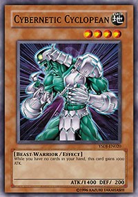 Cybernetic Cyclopean
