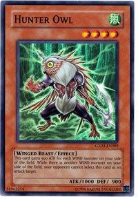 Hunter Owl