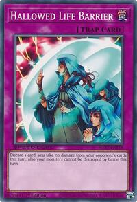 Hallowed Life Barrier