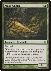 Algae Gharial, Shards of Alara