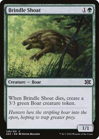 Brindle Shoat, Double Masters 2022