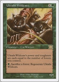 Uktabi Wildcats, Classic Sixth Edition