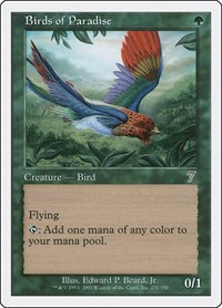 Birds of Paradise, 7th Edition