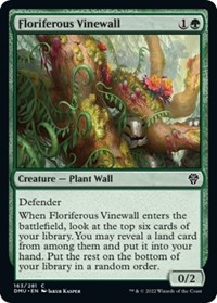 Floriferous Vinewall, Dominaria United