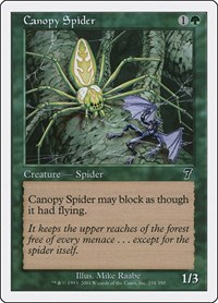 Canopy Spider, 7th Edition