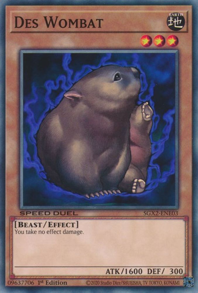 Des Wombat, 1st-edition, front