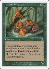 Uktabi Wildcats, 7th Edition