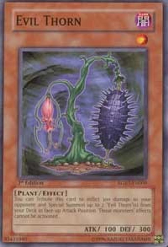 Evil Thorn, 1st-edition, front
