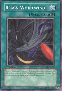 Black Whirlwind