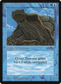 Giant Tortoise, Arabian Nights