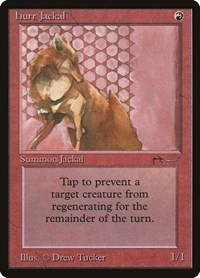Hurr Jackal, Arabian Nights