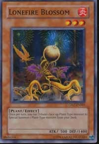 Lonefire Blossom