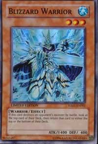 Blizzard Warrior