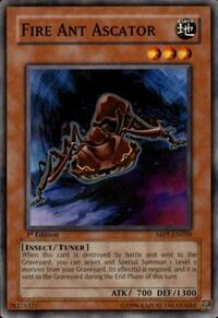 Fire Ant Ascator