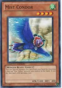 Mist Condor