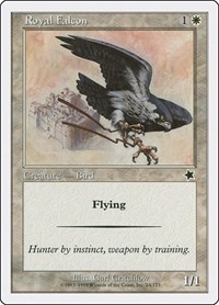 Royal Falcon, Starter 1999