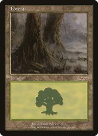 Forest (2003), Arena Promos