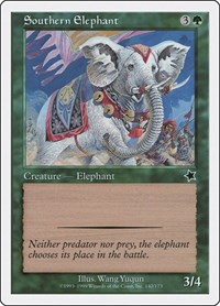 Southern Elephant, Starter 1999