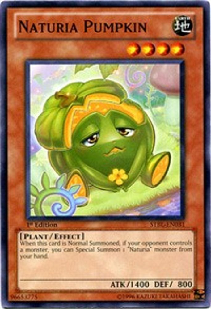Naturia Pumpkin, 1st-edition, front