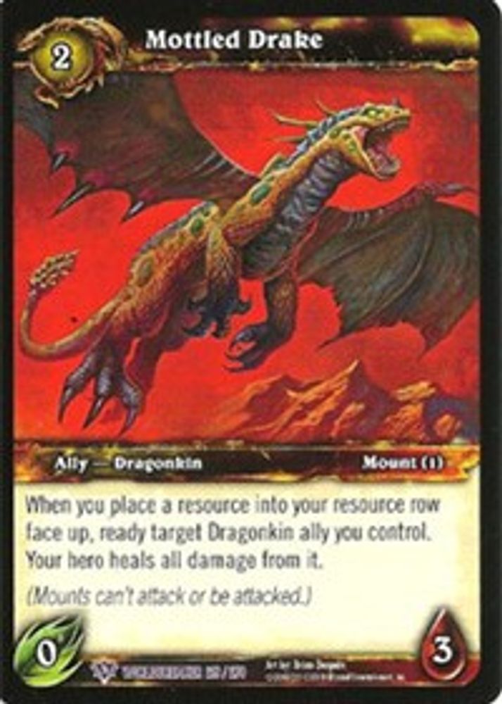 Mottled Drake, Standard, front