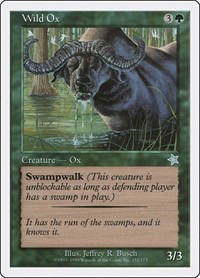 Wild Ox, Starter 1999