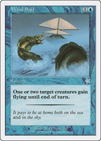 Wind Sail, Starter 1999