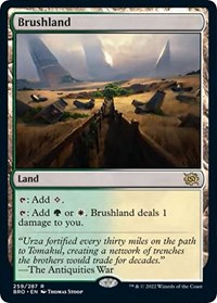 Brushland, The Brothers' War