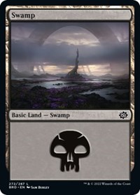 Swamp (272), The Brothers' War