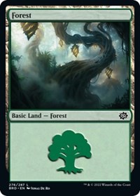 Forest (276), The Brothers' War