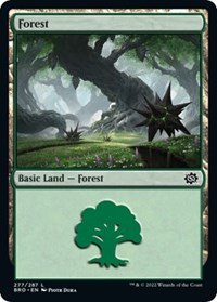 Forest (277), The Brothers' War
