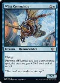 Wing Commando, The Brothers' War