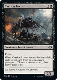 Carrion Locust, The Brothers' War