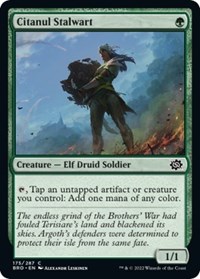 Citanul Stalwart, The Brothers' War