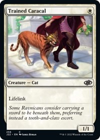 Trained Caracal, Jumpstart 2022