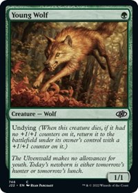 Young Wolf, Jumpstart 2022