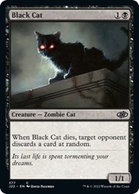 Black Cat, Jumpstart 2022
