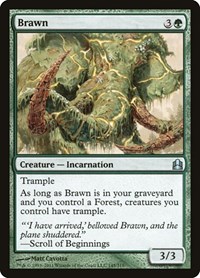 Brawn, Commander